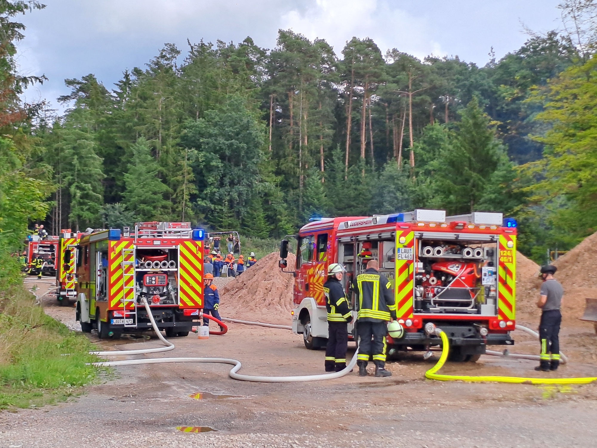 Bild derzeit nicht verf�gbar